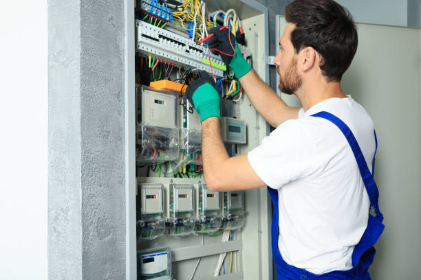 Best Home Electrical Repair  in Osage, IA